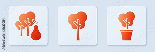Set Tree, Tree with pears and Tree in pot. White square button. Vector