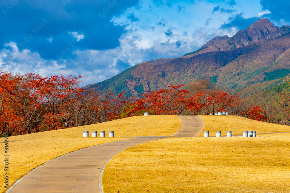 Fujikawaguchiko. Japan. Yagizaki Park. Road to the Japanese mountains. Panorama of Yagizaki Park. Multi-colored natural panorama. Vacations in Japan. Yagizaki Park on a background of blue sky Fujikawaguchiko. Japan. Yagizaki Park. Road to the Japanese mountains. Panorama of Yagizaki Park. Multi-colored natural panorama. Vacations in Japan. Yagizaki Park on a background of blue sky