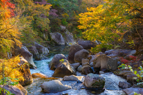 Kofu. Japan. Autumn canyon....