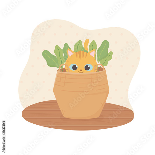pet cat in wicker basket plants cartoon