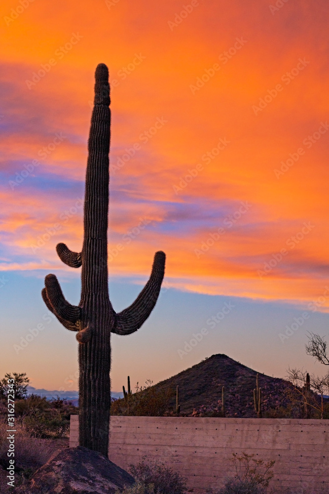 Desert Sunset Sky With Lone Saguaro Cactus