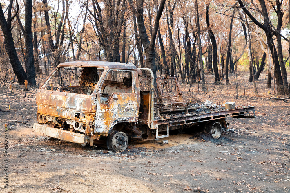 A burned truck amongst severely burnt Eucalyptus trees after a bushfire in The Blue Mountains