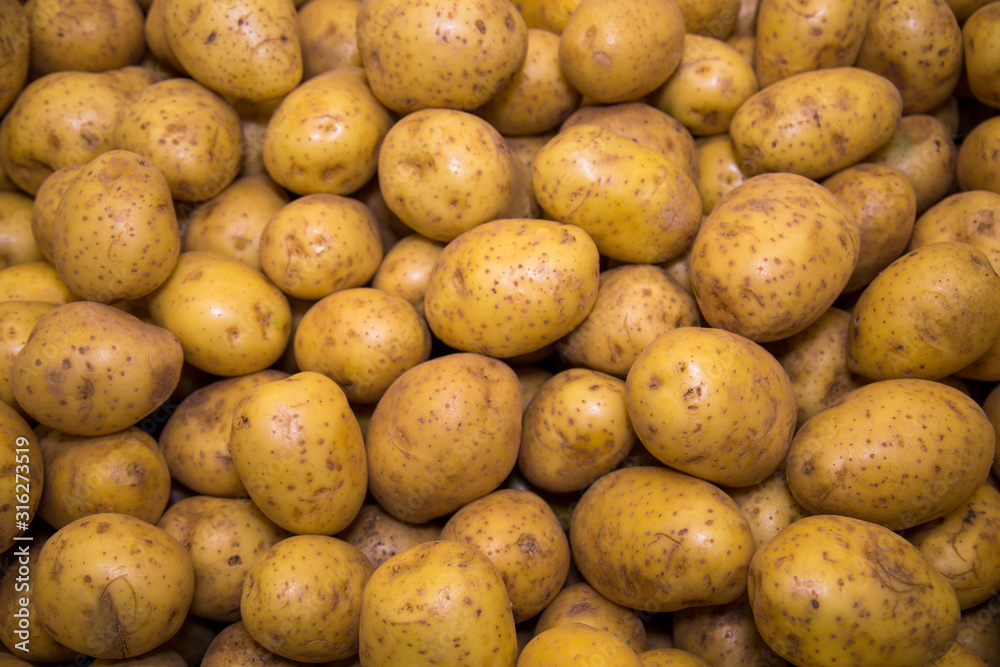 White potatoes washed in bulk. Vegetables, fruits, useful products. White potatoes washed in bulk. Vegetables, fruits, useful products.