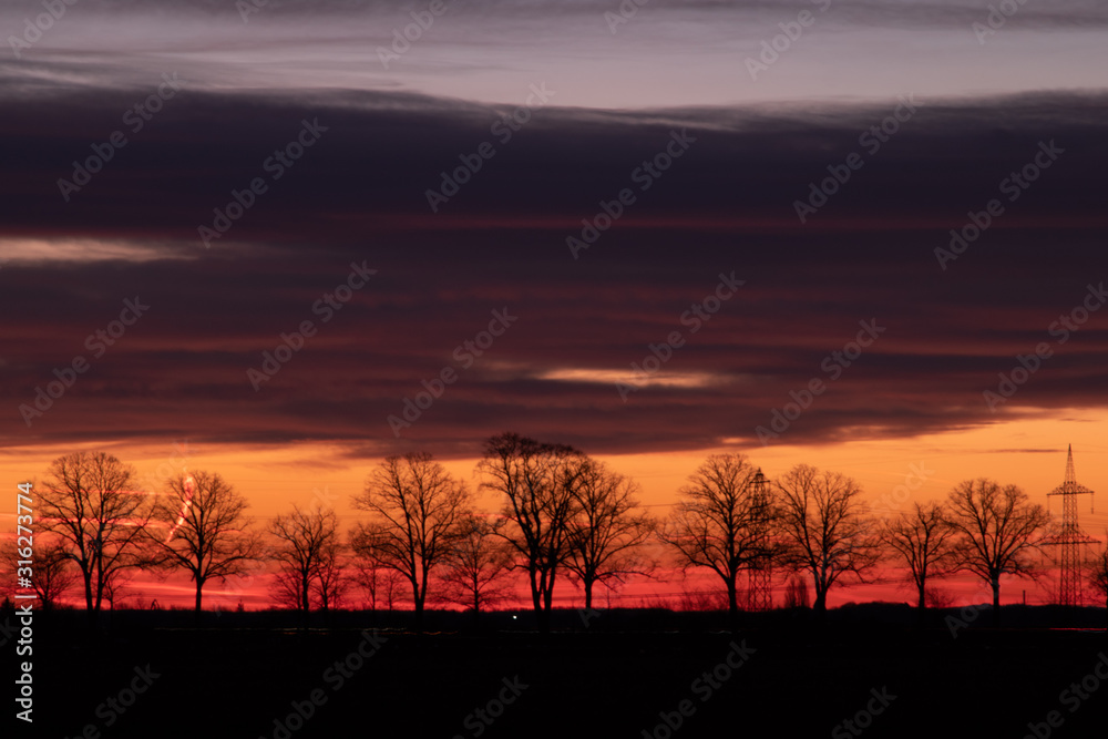 Fototapeta premium Bäume an einer Seite einer Landstraße im Morgengrauen
