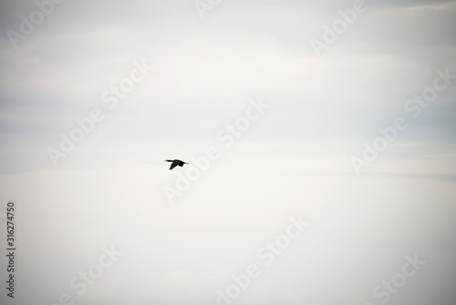 Blue sky with clouds and sun reflection in water with place for your text. anazing clouds, mist in the sky