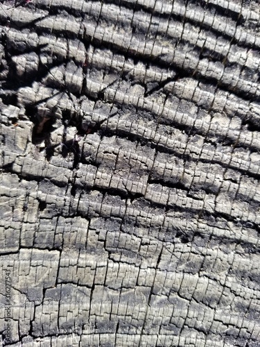 texture, wood, tree, pattern, old, bark, nature, brown, abstract, wooden, textured, wall, material, stone, backgrounds, rough, timber, cracked, surface, natural, dry, rock, closeup, trunk, macro