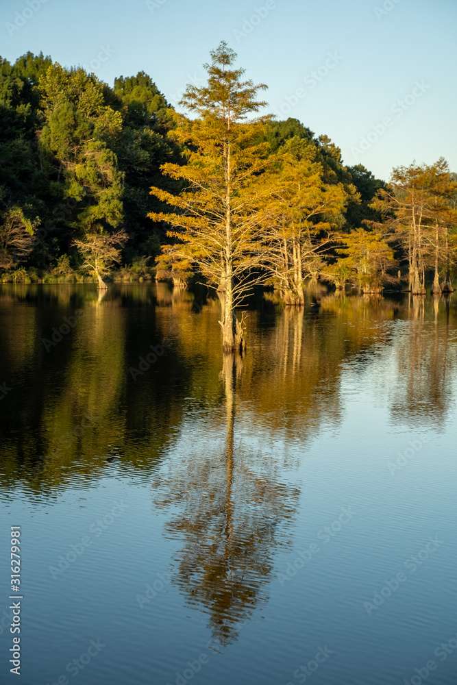Trees line the waterways of Broken Bow, Oklahoma. Trees line the waterways of Broken Bow, Oklahoma.