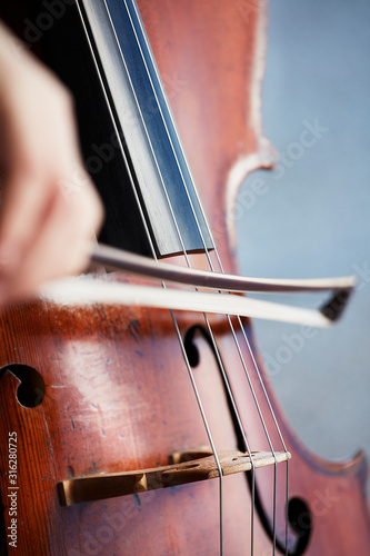 Fototapeta Cellist player hands