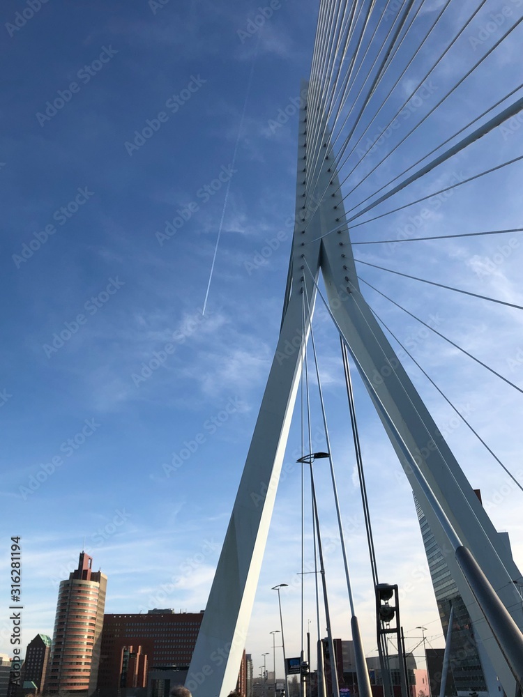 Obraz premium Erasmus Brücke Rotterdam