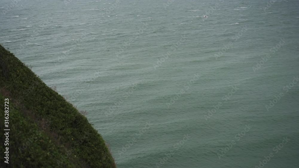 View from the rock of the coast of Etretat France on the coast. A seagull flies over the sea towards the coast.