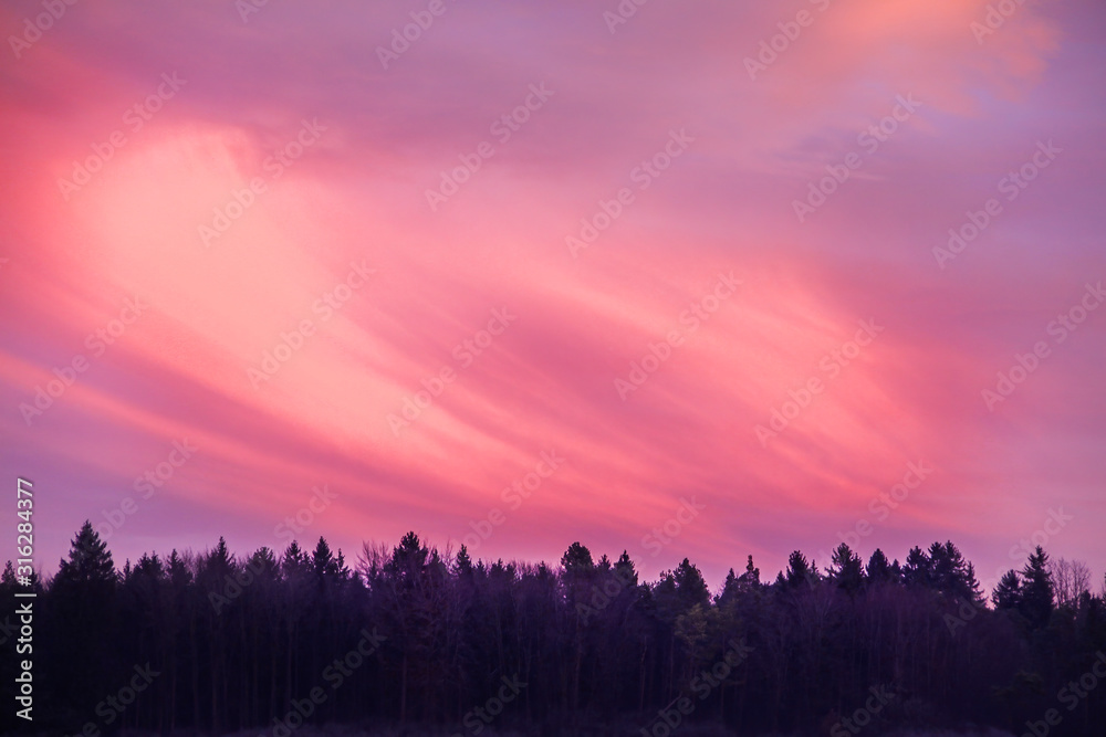colorful sunrise over the edge of the forest