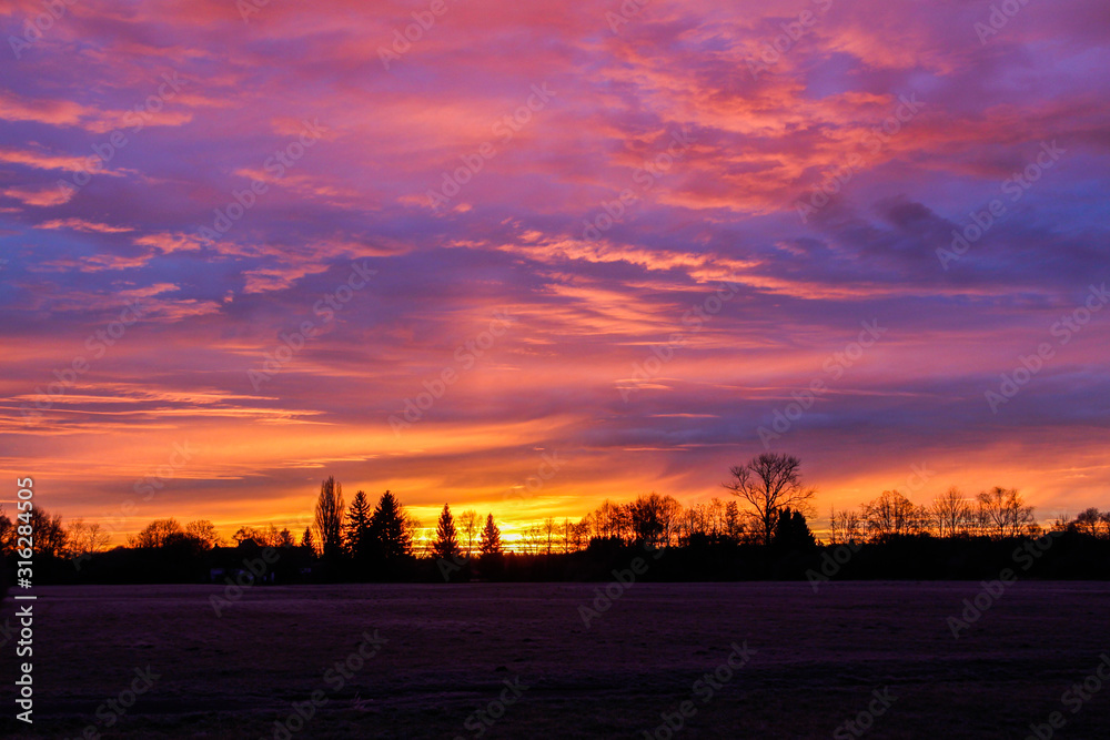 colorful sunrise over the edge of the forest