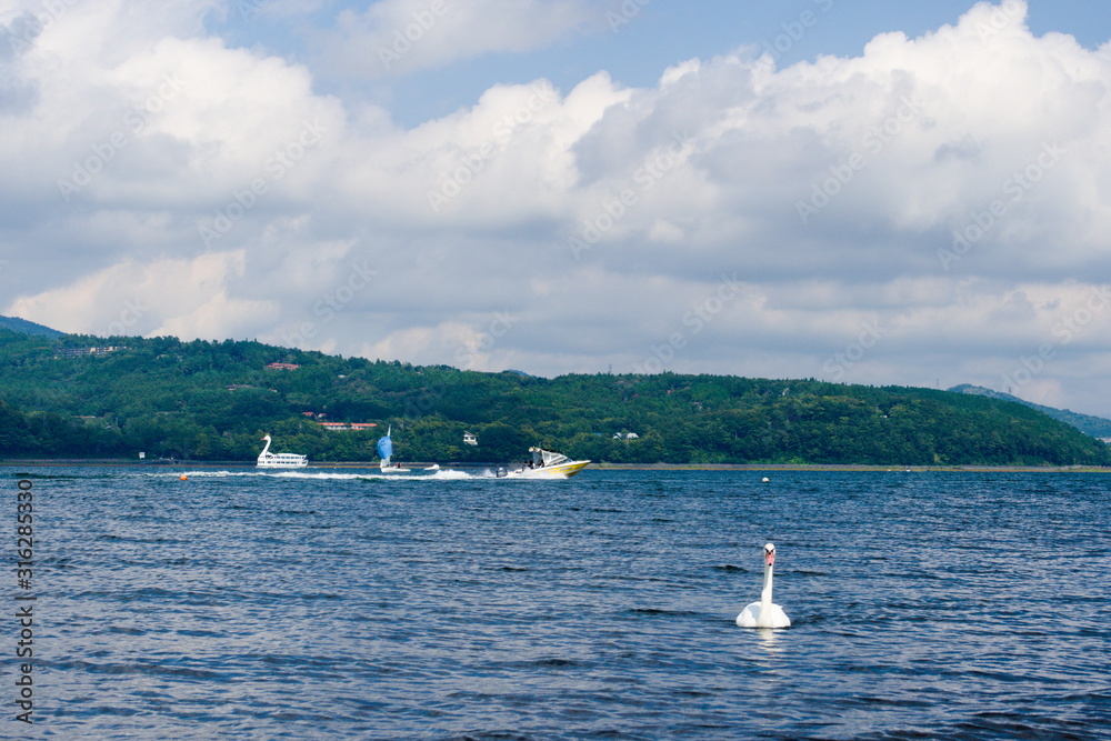 sailing boat in sea