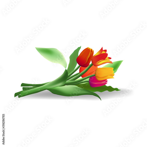 Lying bouquet of five realistic vector tulips with shadow isolated on white background. Red, yellow and purple flower buds. Green long leaves.