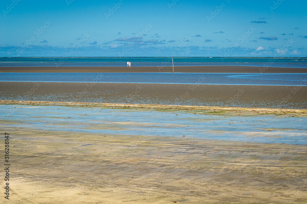 Beaches of Brazil - Ponta de Mangue Beach, Alagoas