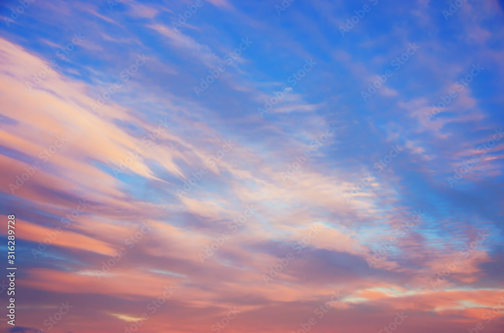 Pink clouds are floating on a bright blue sky. The evening horizon glows with multicolor. Vanilla romantic mood in the early morning or evening at sunset. Pink clouds are floating on a bright blue sky. The evening horizon glows with multicolor. Vanilla romantic mood in the early morning or evening at sunset.