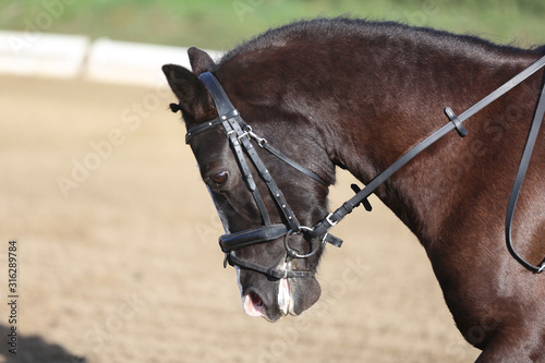 Unknown contestant rides at dressage horse event in riding ground outdoors