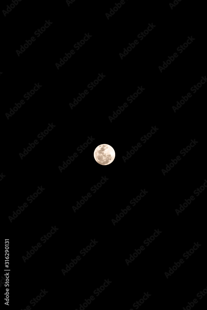 Black Night with Moon 