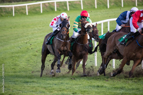 Race horses and jockeys competing on the final furlongs, horse racing action