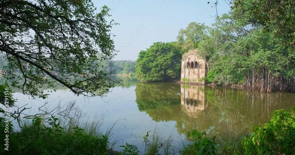 Beautiful toursit landmark Padma Talao lake with ruins remnants of fort. Tropical green and trees of reserve. Ranthambore National Park, Rajasthan, India. Horizontal pan Beautiful toursit landmark Padma Talao lake with ruins remnants of fort. Tropical green and trees of reserve. Ranthambore National Park, Rajasthan, India. Horizontal pan