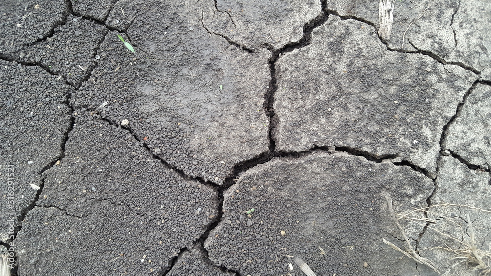 Obraz premium Land is cracked due to lack of water on paddy fields