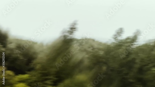 View from the train at the stormy port riviera of Beaulieu-sur-Mer a seaside village on the French Riviera between Nice and Monaco - rainy weather - holiday houses, tall palm trees, luxury yachts photo