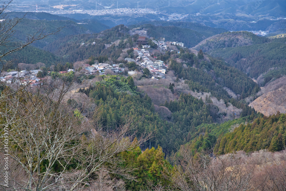 Yoshino Mountain, a famous spot for sakura in winter in Nara Japan