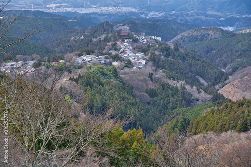 Yoshino Mountain, a famous spot for sakura in winter in Nara Japan