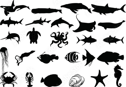 Sea life vector silhouette isolated on white background