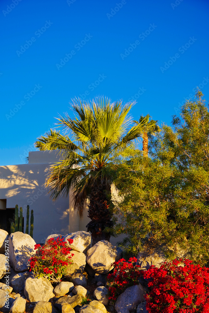 Palm Springs California - Desert Living Cochella Valley