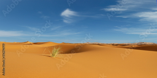 sand dune in the sahara desert 