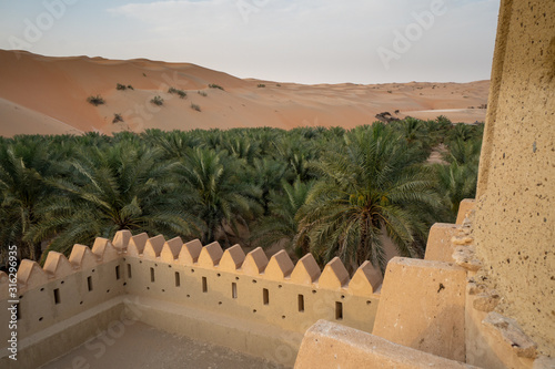Desert Castle in the Liwa Oasis in the Emirate of Abu Dhabi, United Arab Emirates photo