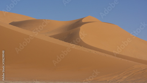 Landscape of Sahara desert