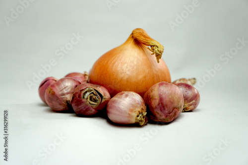 onion and bunch of onion