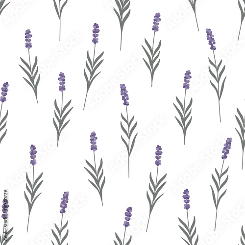 Lavender flowers seamless pattern. Trendy minimalist rustic style. White background. Pastel colors. Vector illustration