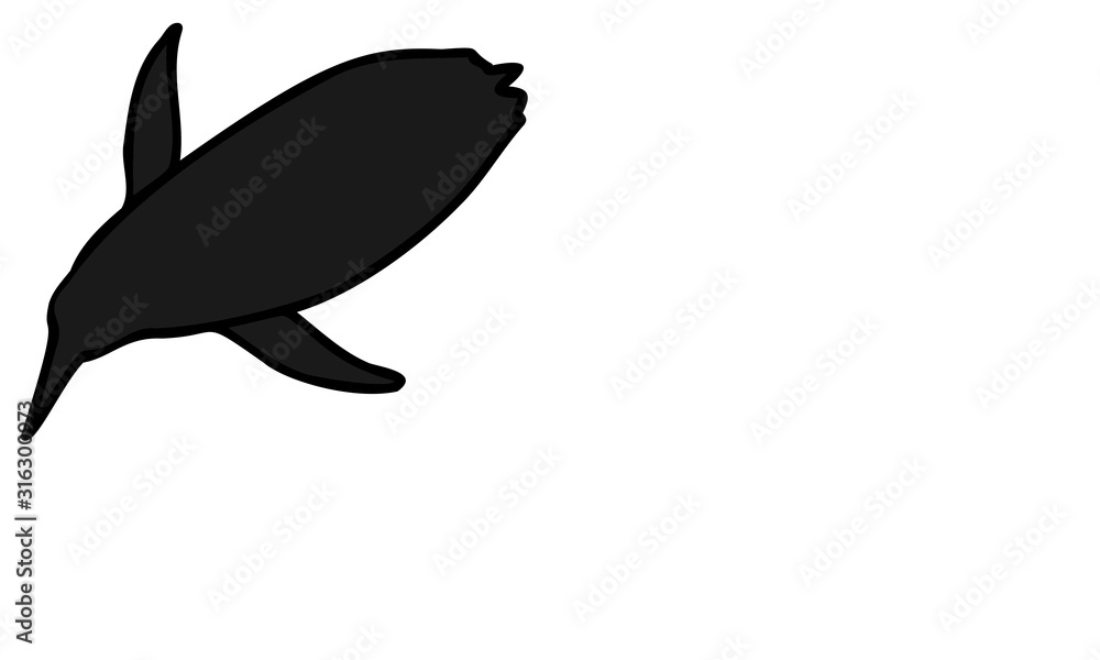 コウテイペンギン