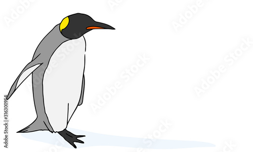 コウテイペンギン