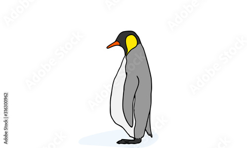 コウテイペンギン