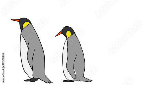 コウテイペンギン