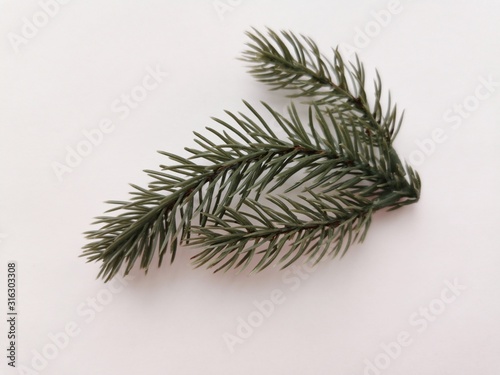 Beautiful neat twig of spruce on a white background. Close-up photo. Top view. Pattern with spruce branch. Fir-tree new year branch. Greeting card design celebration.