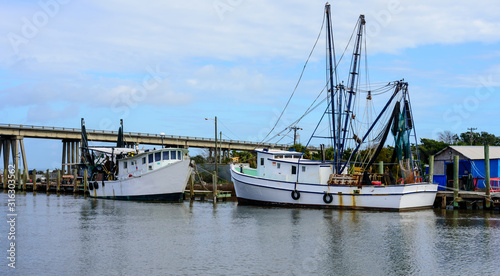 Fishing Shrimp Boats Moored at a Dock at a Marina