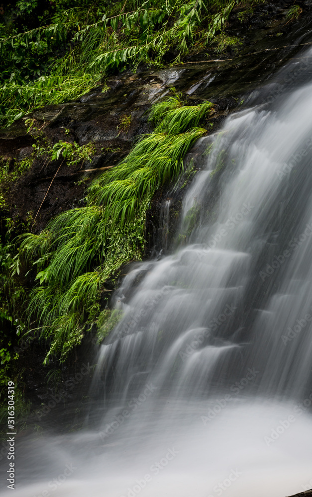 Obraz premium Green folliage edges soft waterfall in NC mountains