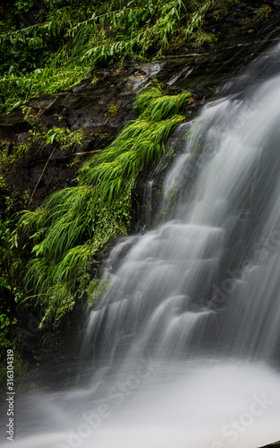 Green folliage edges soft waterfall in NC mountains