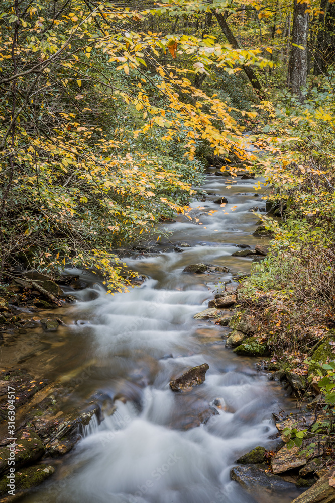 Mountain stream flowing through a forest in fall colors Mountain stream flowing through a forest in fall colors