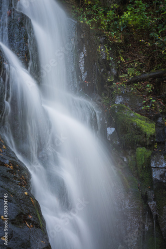Fototapeta Naklejka Na Ścianę i Meble -  Soft waterfall surrounded by bight green moss