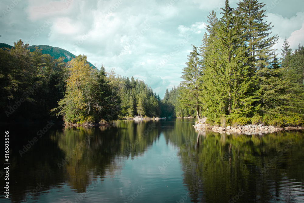 Fototapeta premium reflect of the forest