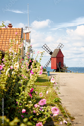 Street with flowers towards a windmill on shore edge facing Kalmarsund on the swedish island Oland. photo