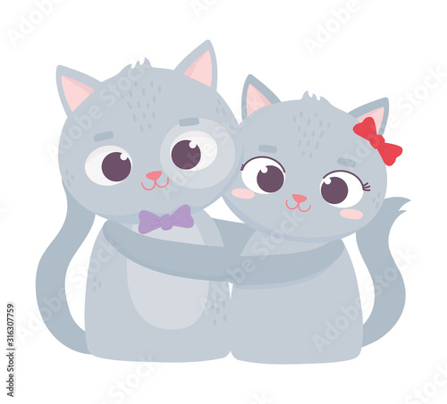 happy valentines day, cute couple cats romantic love
