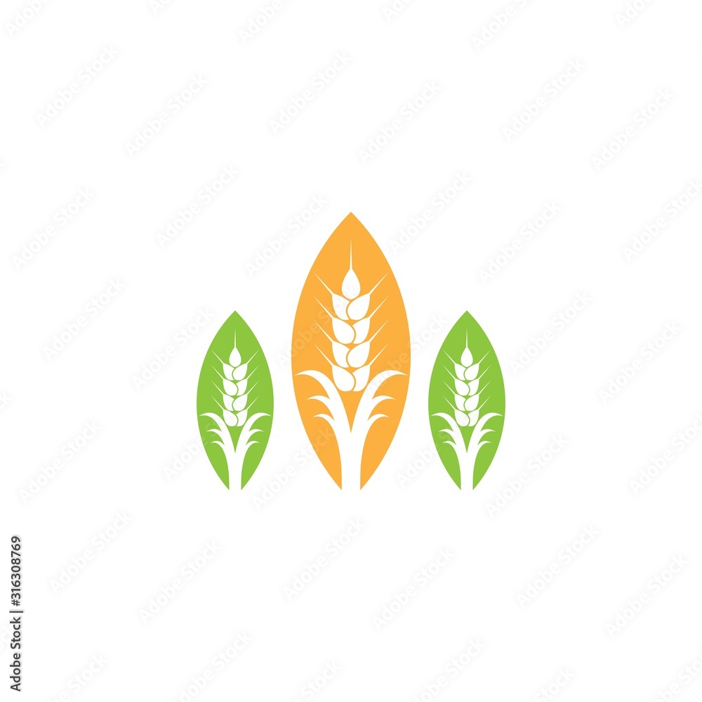 Wheat logo template vector icon illustration
