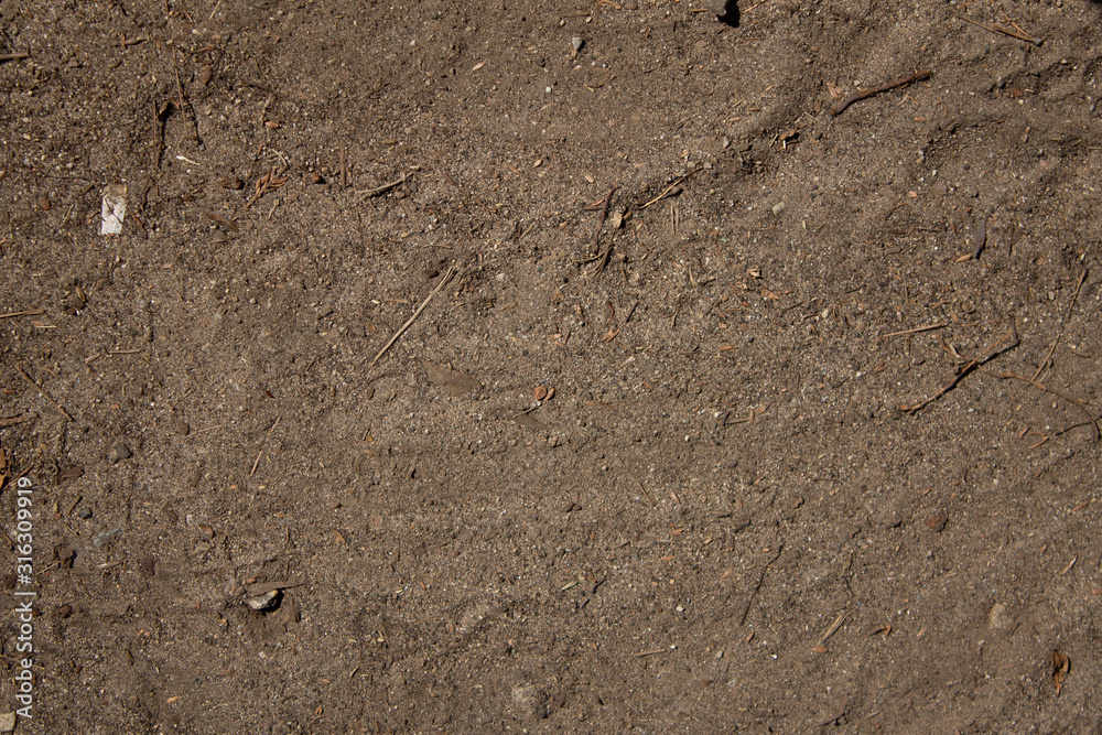 footprints in the sand footprints in the sand